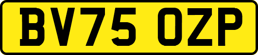 BV75OZP