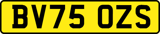 BV75OZS
