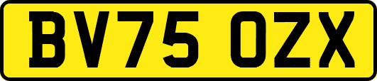 BV75OZX