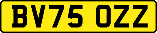 BV75OZZ
