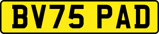 BV75PAD