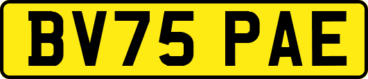 BV75PAE