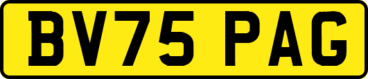 BV75PAG