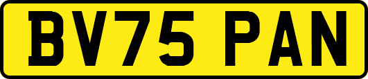 BV75PAN
