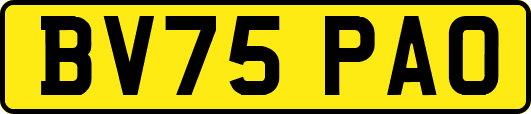 BV75PAO