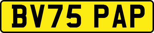 BV75PAP