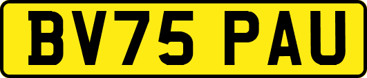 BV75PAU