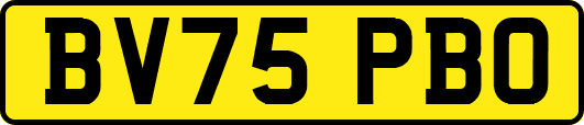 BV75PBO