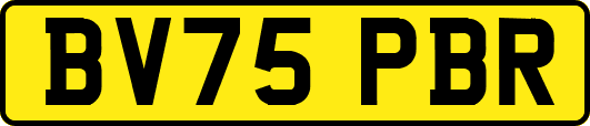 BV75PBR
