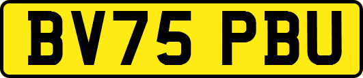 BV75PBU