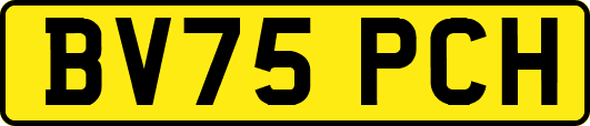 BV75PCH