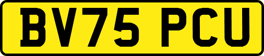 BV75PCU
