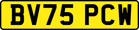 BV75PCW
