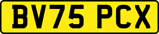 BV75PCX