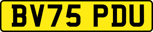 BV75PDU