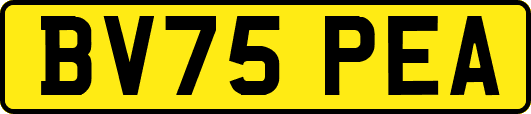 BV75PEA