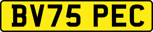 BV75PEC