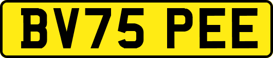 BV75PEE