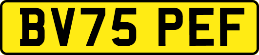 BV75PEF