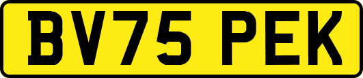 BV75PEK