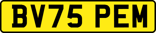 BV75PEM