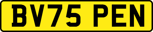 BV75PEN