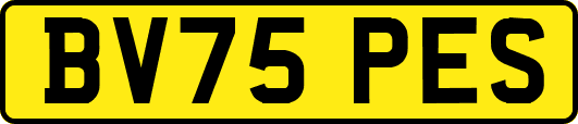 BV75PES