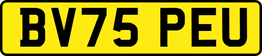 BV75PEU
