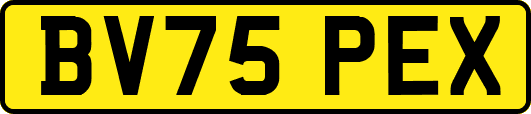 BV75PEX