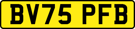 BV75PFB