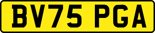 BV75PGA