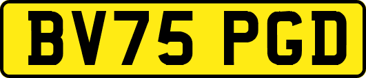 BV75PGD