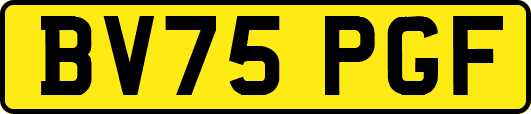BV75PGF