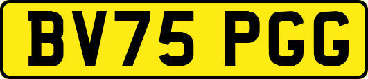BV75PGG