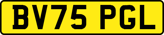 BV75PGL