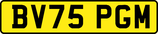 BV75PGM
