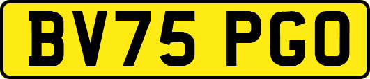 BV75PGO