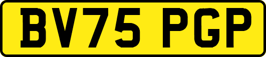 BV75PGP