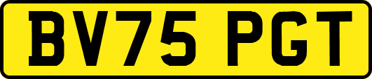 BV75PGT
