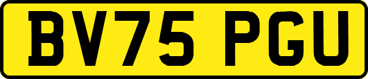 BV75PGU