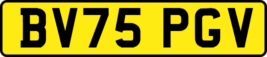 BV75PGV