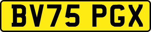 BV75PGX