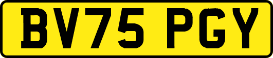 BV75PGY