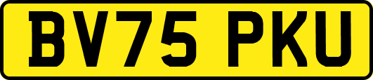 BV75PKU