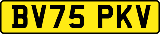 BV75PKV