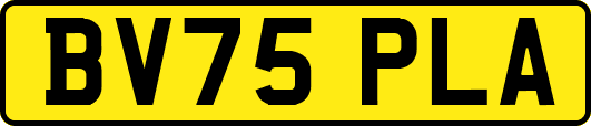 BV75PLA