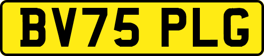 BV75PLG