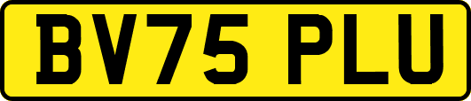 BV75PLU