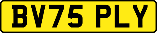 BV75PLY
