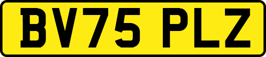 BV75PLZ